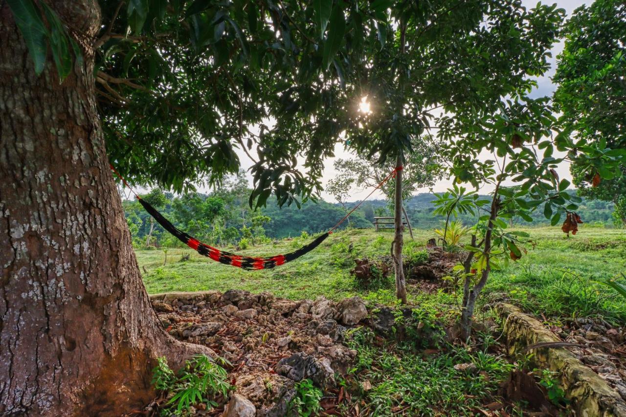 Ayu Hill Bungalows Ped Zewnętrze zdjęcie